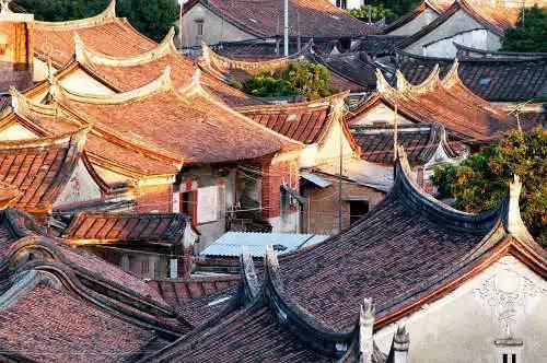 救援受困的长颈鹿